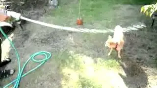 20091004 1501 82fe77781611cd71640fa484fc2fb73b