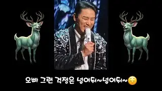 오빠 그런 걱정은 넣어둬~넣어둬~😌(260124 호시절 9.11 MHz IN 부산)