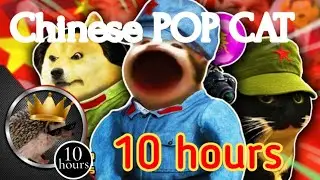 Chinese POP CAT 10 hours