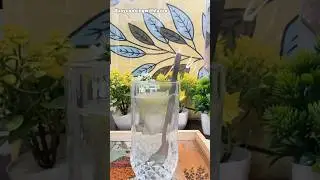 Period Hack by Rajiv Dixit ji #periodrelief #rajivdixit #ayurveda #celebrity #ytshorts #viral
