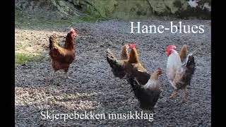 Skjerpebekken musikklag - HaneBlues