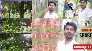 🔴Nature Lotoka VLOGS Video 🌳।। Nature Lotoka VLOGS Video ।। #postcardsfromtheworld #summer #skyfall