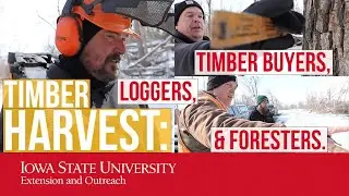 Timber Harvest: Roles of Loggers, Timber Buyers, & Foresters. (Think you know the difference?)