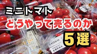 「農家のリアル」ミニトマトの販売方法5選