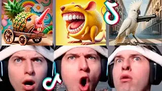 NEW Italian Brainrot Animals 😱 TikTok Compilation (Anatoxich) #97