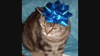 funny christmas pictures