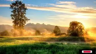 Winter Morning Birds Chirping ❄️ | Peaceful Nature Sounds