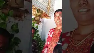 அடி வெளுக்க போறேன் பாத்துக்க🤣🤣🤣 #comedy #funny #husbandwife #tamilcomedy #bindhuvlogs #shortsfeed