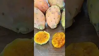 Cactus fruit harvest 🌵 close-up / Урожай плодов кактуса 🌵 крупно +1 #cactusfruit #cactus