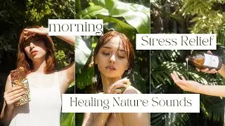 Morning Birds Singing | Healing Nature Sounds for Deep Sleep, Stress Relief & Positive Energy
