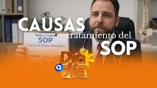 Causas y tratamiento del sop (Síndrome del Ovario Poliquístico) - Día a Día