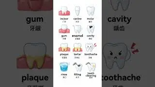 Children&rsquo;s English Scenarios | Oral Care Vocabulary & Daily Hygiene Conversation for Kids