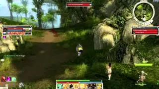 Guild Wars: HM Raptor Farm With W/N