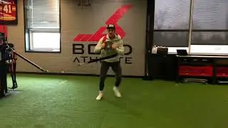 Curtsey Lunge to Lateral Lunge w/ Plate Press Out - 3D Strap - Cable