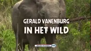 Gerald Vanenburg in het Wild  FOX DOC