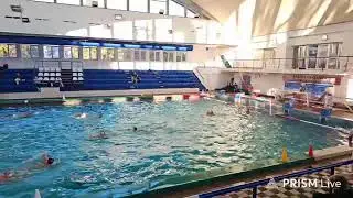 Live streaming of Rapid București Junior Waterpolo Team - Fan Zone