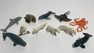 Милые и необычные игрушки в виде животных 🐻&zwj;❄️🐋 От арктических льдов до глубин океана! ❄️🌊