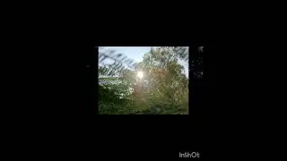 #recreation #windows #wind #birds #chirpingbirds #nature#asmr #photography
