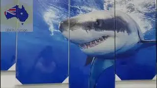 Big White Shark Canvas Wall Art   LKH Production