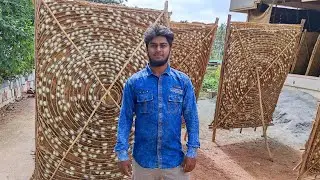 How to Start Silk Worm Farming | A Complete Guide by Bangalore Hamster Breeders