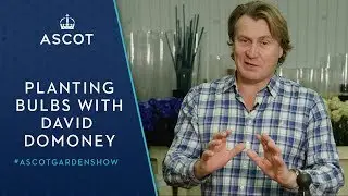 Gardening Tips from David Domoney | The Ascot Spring Garden Show