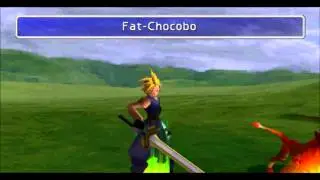 Final fantasy 7 - Chocobo & Fat Chocobo