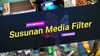 Susunan Media Filter Aquarium Ikan Mas Koki Terbaru 2024: Air Bening Sejernih Kristal