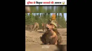 विलुप्त जानवरो की अनोखी आवाज |😱sounds of extinct animals😶| #shorts #facts #animal
