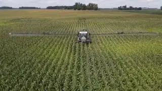 Why We Use Late Season Corn Fungicide