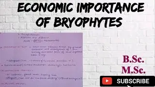 Economic importance of bryophytes|| BSc MSc notes on Economic importance of bryophytes