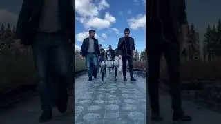 Umbraflor sperimenta il primo robot giardiniere