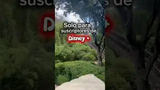 OFERTA EXCLUSIVA #disneyplus desde $109 usd por d&iacute;a. #tickets #oferta #3dias #descuentos
