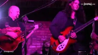 Ścigani&Shreku-
