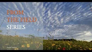 An Introduction to Prairie Ecology and Restoration at the International Crane Foundation