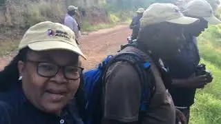 9. Lifers for the bird guides