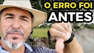 Propriedade Rural NÃO dá LUCRO pra muita gente — ENTENDA o ERRO 