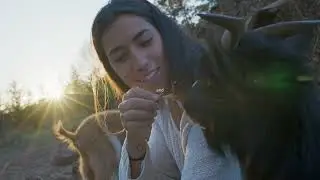 YOUNG MINDS - @Dan Whitlam - Aesthetic Video by HUMANEYES