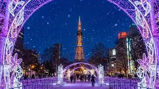 Odori Park, White illumination 2024, Sapporo Japan🇯🇵