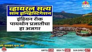 Special Report | भल्या मोठ्या अजगरांमुळे दहशत? व्हायरल व्हिडिओमागचं सत्य काय? | Anaconda