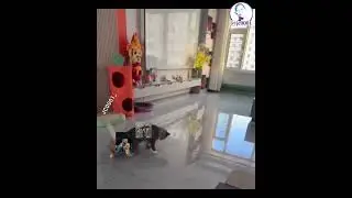 ronaldo goatsa abone olun messiyse lise atın