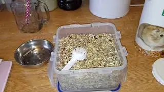 Hamster Food Review - Rodipet Dwarf Junior Food