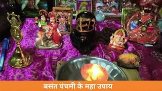 23 जनवरी बसंत पंचमी के विशेष महाउपाय इच्छापूर्ति उपाय जरूर करे #upay #basantpanchami #pradeepmishra 