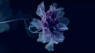 Just Let the Sound Be &ndash; 90 Minutes of Passive Sleep Music | Late-Night Calm, No Effort