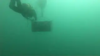 Submergeixen &agrave;mfores al Port de Tarragona