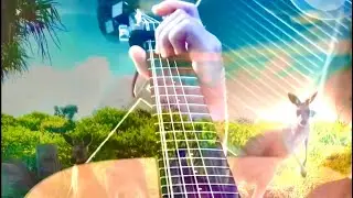 Kangaroo Surf with 12 String Guitar 🌊🪕