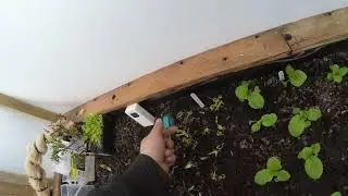 Double layer greenhouse inflation system up and running. Compost heating up and running.
