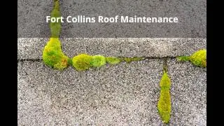 Fort Collins Roof Repair