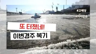 [3회차 1월 15일 2일차 최고배당 경주]