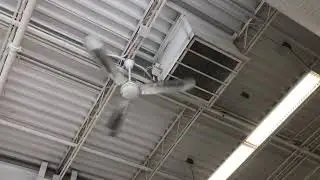 56&rdquo; Canarm 5th Generation Industrial Ceiling Fans (Feat. @BrandonsFansLightingandMore​⁠​⁠ & Alex)