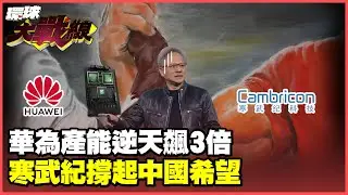 華為寒武紀齊發功！3家神秘工廠拚出3倍產能 黃仁勳急推B30也救不了輝達【#環球大戰線】20250828-P3 葉思敏 蔡正元 賴岳謙 張競